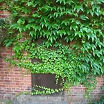 Bauernhof Avalon Polchowo *