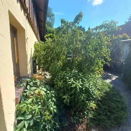 Farmház Avalon Polchowo Kamień Pomorski