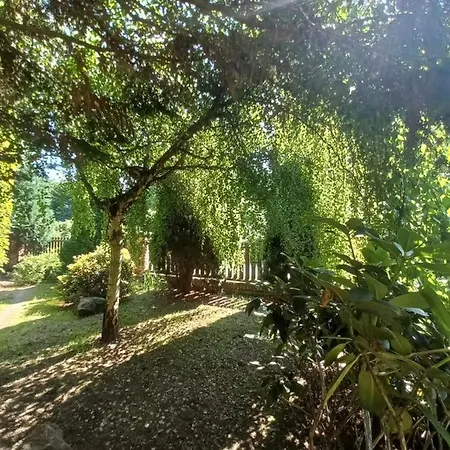 Avalon Polchowo Farmház *