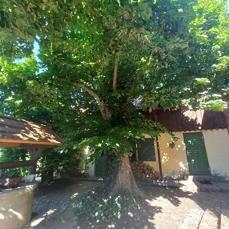 Farmház Avalon Polchowo Kamień Pomorski