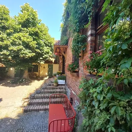 Avalon Polchowo *