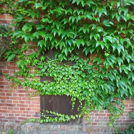 Farmház Avalon Polchowo *