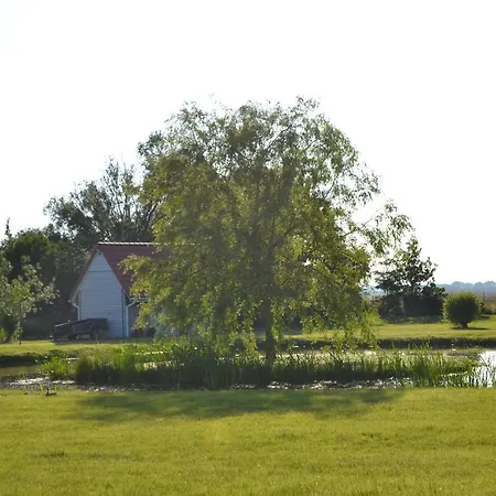 Avalon Polchowo *