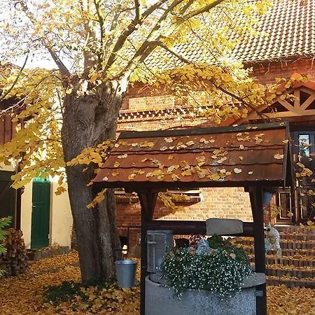Farm stay Avalon Polchowo