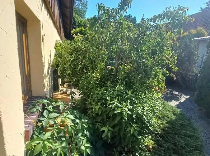 팜스테이 Avalon Polchowo 카미엔 포모르스키