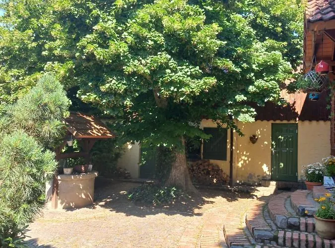 Avalon Polchowo Agroturismo Kamien Pomorski