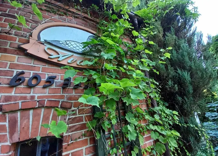 Avalon Polchowo 팜스테이