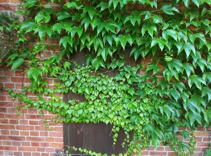 팜스테이 Avalon Polchowo *