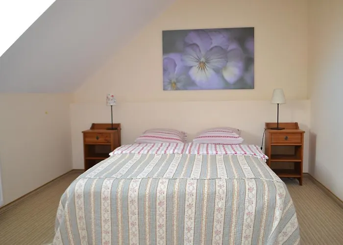 Agroturismo Avalon Polchowo *